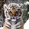 Аватар пользователя Александр Скиф